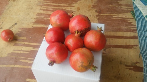 Fresh Pomegranate - 7-10cm Diameter, Red, 200g Average Weight | Juicy, Sweet, Antioxidant-Rich, Moisture 80%