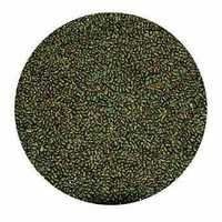 Sesbania Seeds