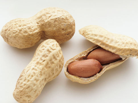 Export Peanuts