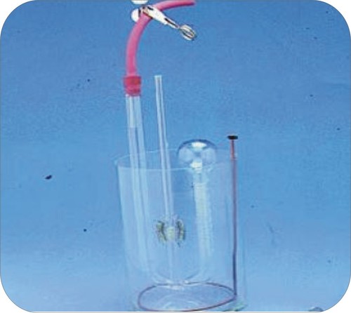 Charles Law Apparatus