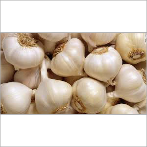Organic Garlic