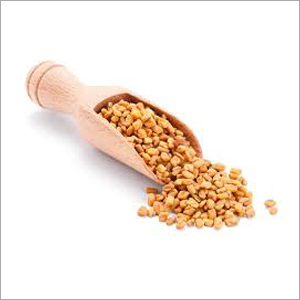 Indian Fenugreek Seeds