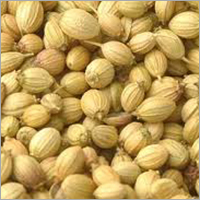 Coriander Seed