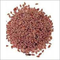 Indian Isabgol