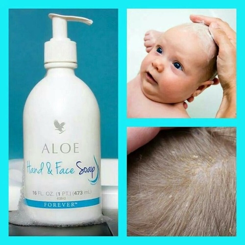 ALOE LIQUID SOAP