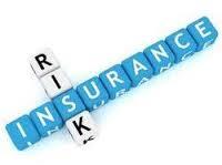 Insurance and Risk Management Courses