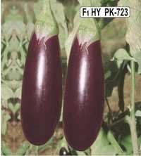 Brinjal(PK-723) Seeds