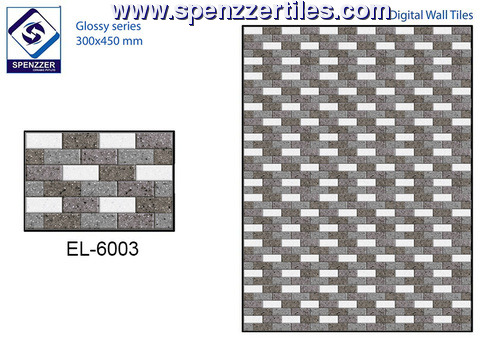 300X450 Elevation Wall Tiles