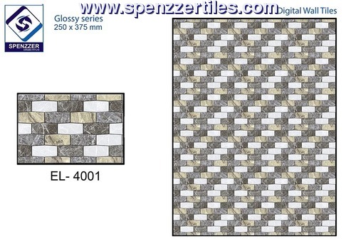 Elevation Wall tiles