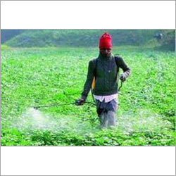 Lab Testing For Pesticides
