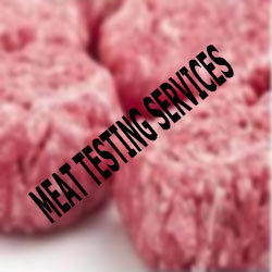 Meat Testing Services