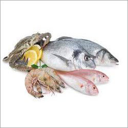 Sea Food Testing Services
