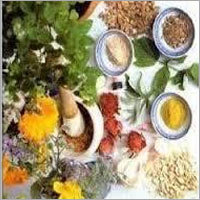 Cosmetic Testing Services