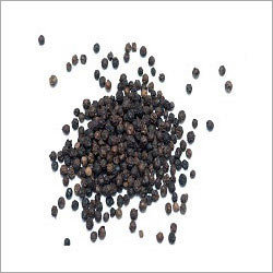 Black Pepper Testing Services