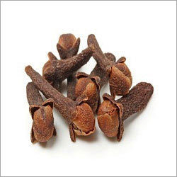 Cloves Testing Services