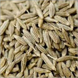 Indian Spices Testing Services