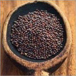 Mustard Seeds Testing Services