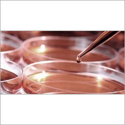 Pharmaceutical Industrial Water Testing Services