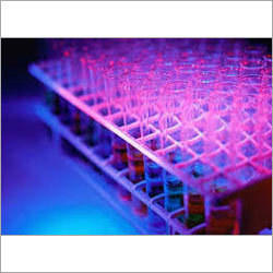 Lab Testing For Toxicology