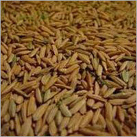 Wheat Testing Services