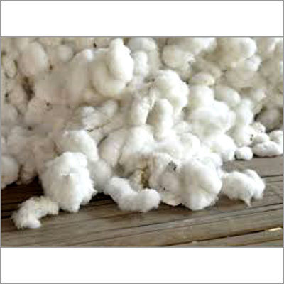 Raw Cotton
