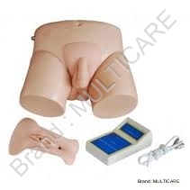 Electronic Urinary Model - PVC, Multiple Sizes, Beige | Realistic Design, Washable, Smooth Finish, Electronic Simulation