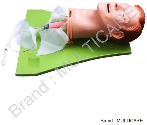 Multi Functional Airway Management Model