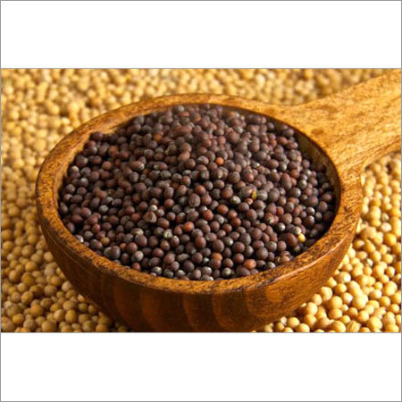Mustard Seeds