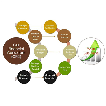 CFO Consulting Services