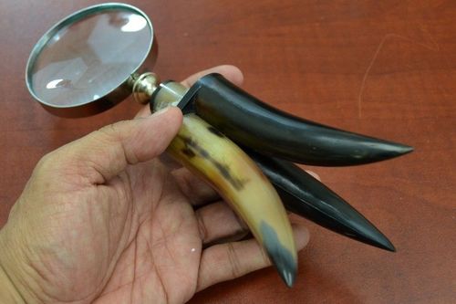 Horn Handle Magnifying Glass