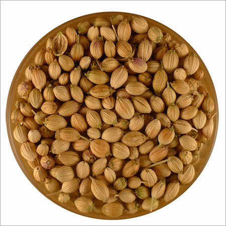 Coriander Seeds