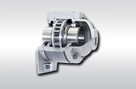 Complete Freewheel BAX
