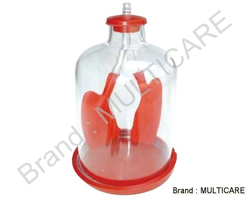 Lung Demonstration Model