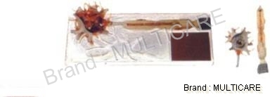 Neuron Model - Advanced PVC, Two Parts, Brown, 15 Positions | Detailed Educational Neuroscience Tool
