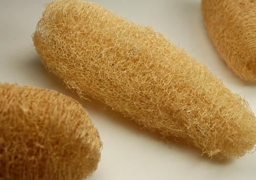 Natural Loofah