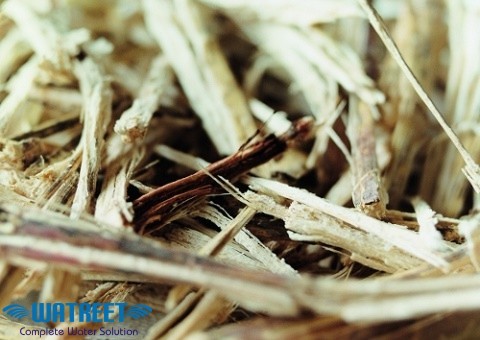 Sugar Process Chemicals