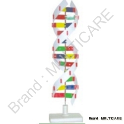 DNA Activity Model - Plastic, 12x12x46 cm, Multicolor | Interactive 3D Learning, 48 Bases, Easy Assembly
