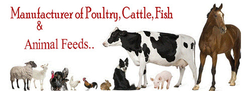 Animal Feed