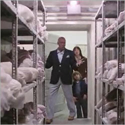Cold Storage Facilities