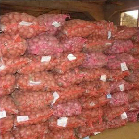 Potato Storage Renting Services