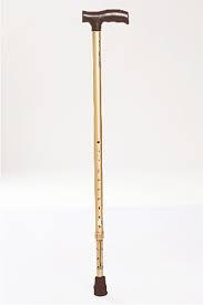 L Type Walking Stick