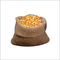 Maize Corn