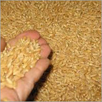 Human Feed Milling Wheat