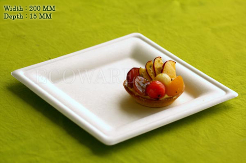 8 Inch Square Disposable Plate