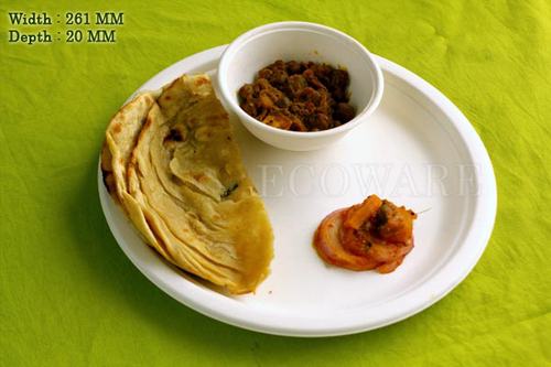 10 Inch Round Disposable Plate