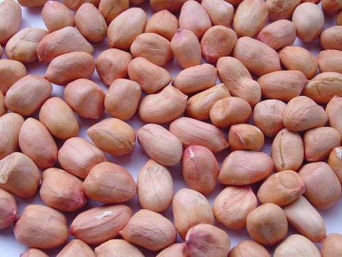 Solid Groundnuts