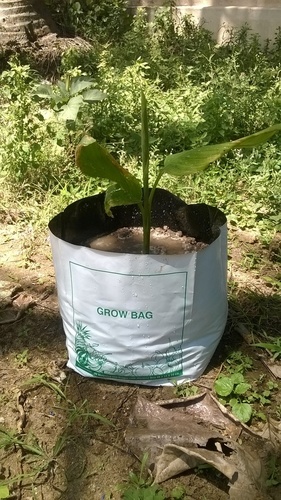Flexo Printing Non Woven Bags
