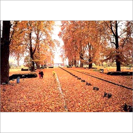 Srinagar Tour Packages