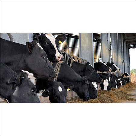 Hard Water Treatement