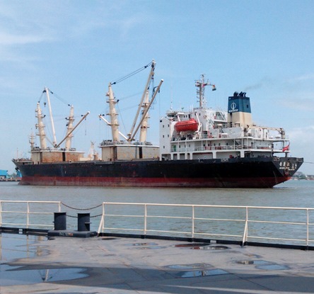 Customs & Forwarding Services